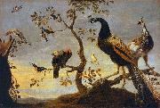 Group of Birds Perched on Branches Frans Snyders